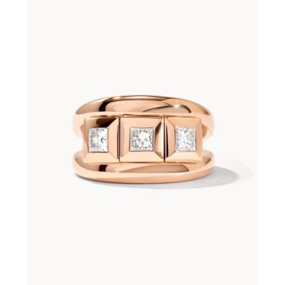 CURRICULUM VITAE Ring