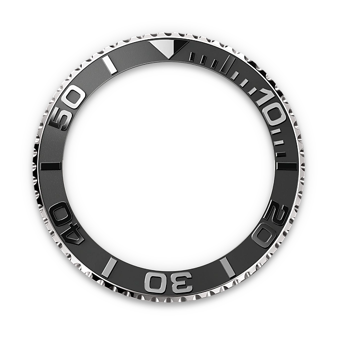 In beide Richtungen drehbare Lünette